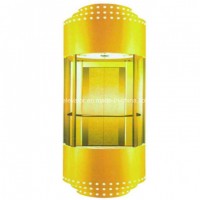 Sightseeing Glass Elevator with Beautiful Design
