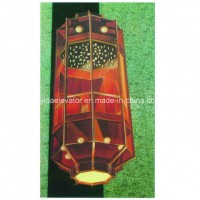 Rear Wall Glass Sightseeing Elevator for Sale