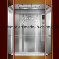Beautiful& Durable Panoramic Elevator