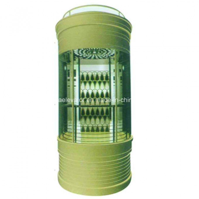 Panoramic Elevator with Beautiful Design Image1