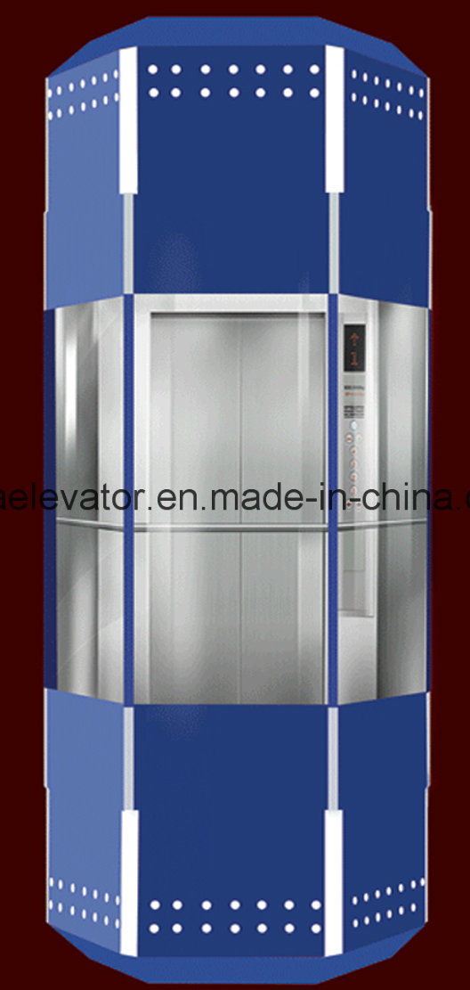 Beautiful& & Cheap Price Panoramic Elevator Image1
