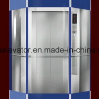 Beautiful& & Cheap Price Panoramic Elevator