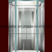 Panoramic Elevator with Etching Decoration (JQ-A029)