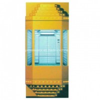 China Residential Panoramic Elevator with Good Quality and Competitive Price
