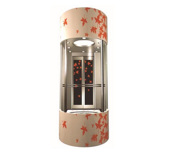 Stainless Steel Panoramic Elevator with Glass/Residential Elevator Image1