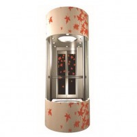 Stainless Steel Panoramic Elevator with Glass/Residential Elevator