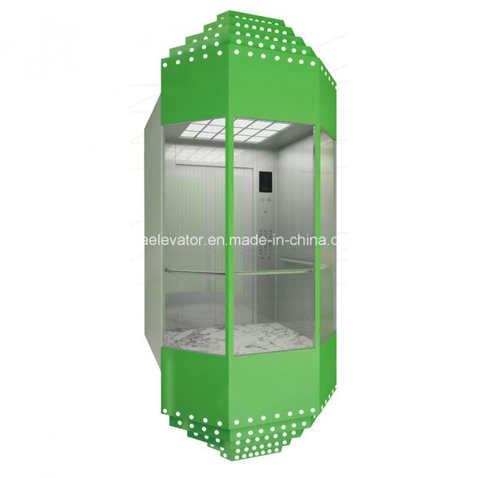 Hsgq-1411-Nice Designed Panoramic Elevator with Car Covers Image1