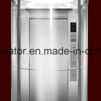 Profession and Comfortable Panoramic Elevator (JQ-A035(C))