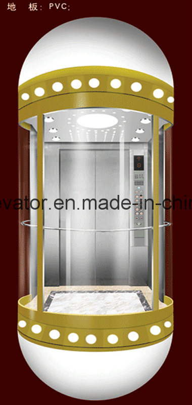 Capsule Type Panoramic Elevator with Hairline Stainless Steel Image1