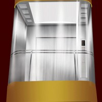 SGS Approved Panoramic Elevator for Sale