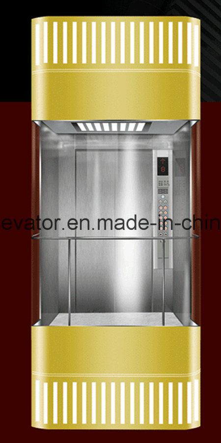 Nice Panoramic Elevator with Square Shape Image1