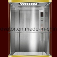Nice Panoramic Elevator with Square Shape