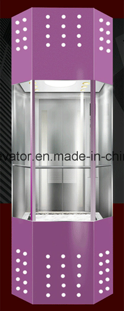 Good Machine Roomless Panoramic Elevator Image1
