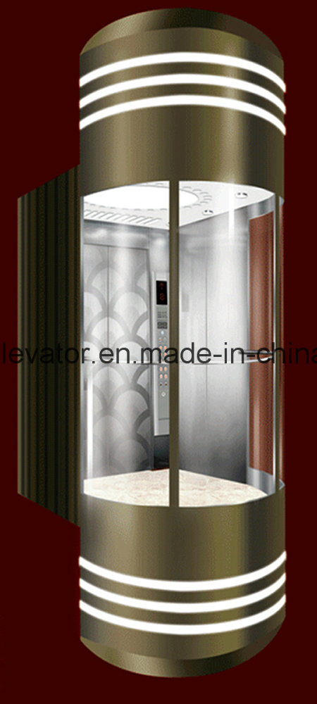 Beautiful& High Quality Panoramic Elevator Image1