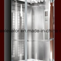 Elegant Unique Design Panoramic Passenger Elevator (JQ-A008)