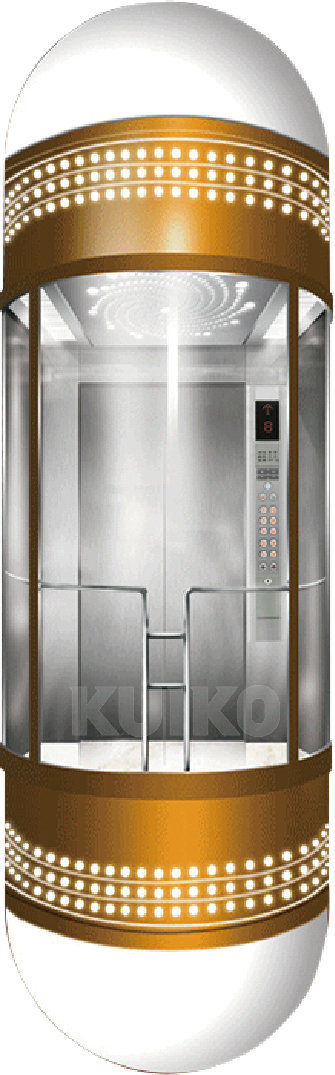 Kjx-G102 Hairline Stainless Steel Panoramic Elevator Image1