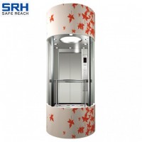 Unique Taste Observation Elevator with Competitive Price