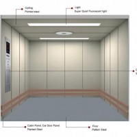 2000kg Freight Elevator for Goods with Painted Steel Finish (XNH-001)