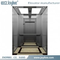 Joylive 1000kg Vvvf 