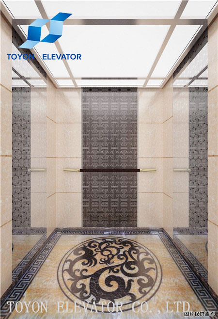 Passenger Home Elevator with Professional Service in Residential/Panoramic Business Building on Hydr Image1
