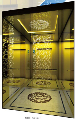 Spacious Luxurious CE Approved Passenger Elevator Lift Price Image1