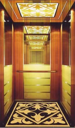 Passenger Elevator/Passenger Lift/Elevator/Elevator Lift Image1