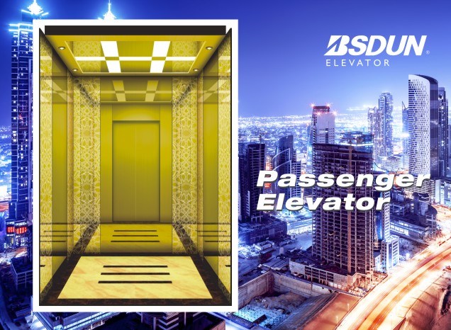 Safe and Stable Passenger Lift From China Factory Image1
