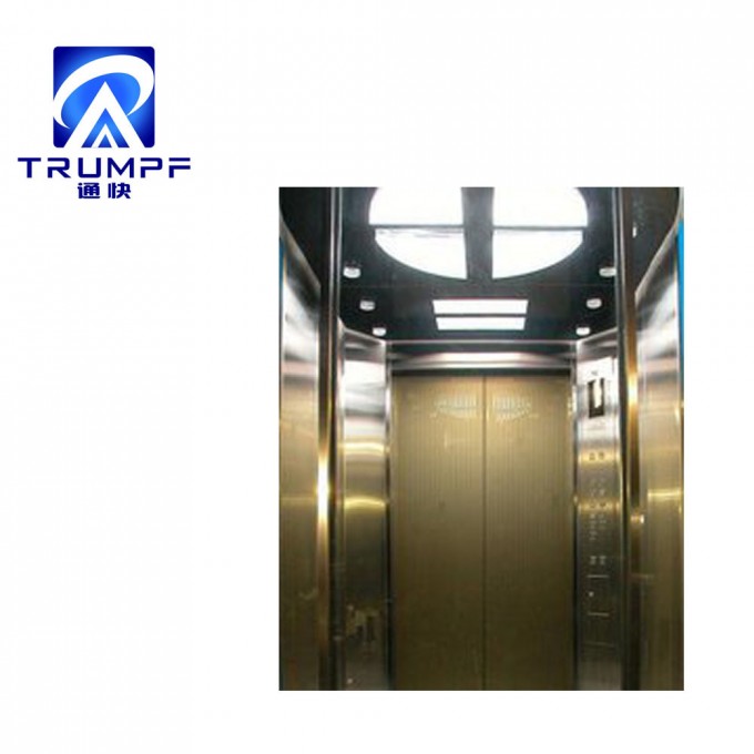 Business Passenger Lift Villa Elevator for Homes Image1