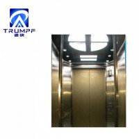 Business Passenger Lift Villa Elevator for Homes
