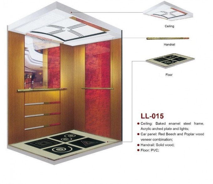 Passenger Lift Passenger Elevator for Home (LL-014) Image1