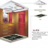 Passenger Lift Passenger Elevator for Home (LL-014)