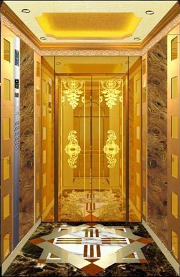 Dsk Passenger Elevator with Luxury Cabin Image1