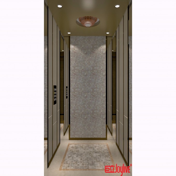 Vvvf Passenger Small Home Elevator with Price Image1