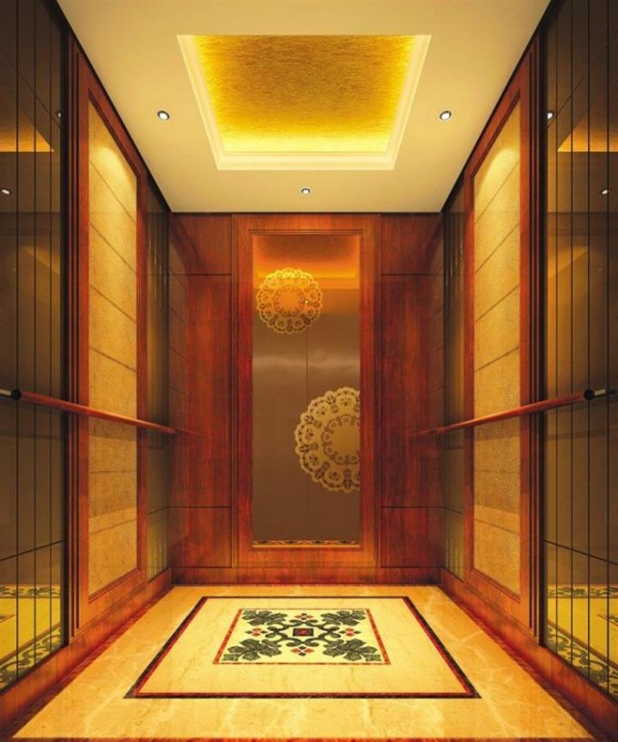 Luxury Passenger Elevator with Good Quality Competitive Price Image1