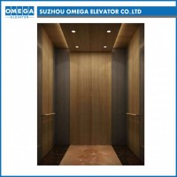 Passenger Elevator with Simple Style for Business Building From Factory