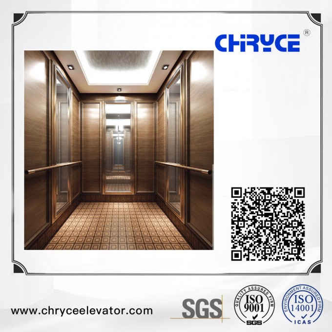 Stable and Commercial Elevator High Speed for Passenger Elevator Image1