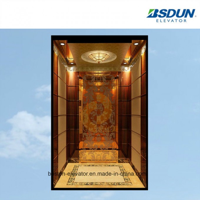 Luxious Hotel Passenger Elevator, Titanium Elevator Image1