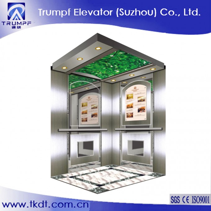 Residential Passenger Elevator/Lift with Green Leaf Decoration Image1
