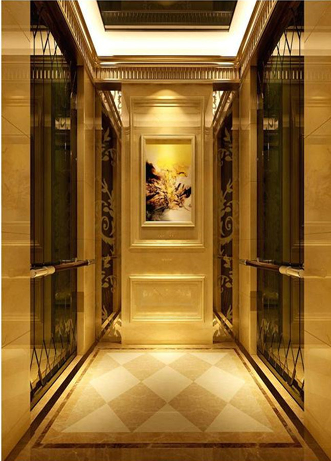 Elegant and Safe Passenger Elevator Image1