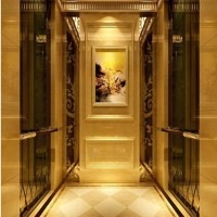 Elegant and Safe Passenger Elevator