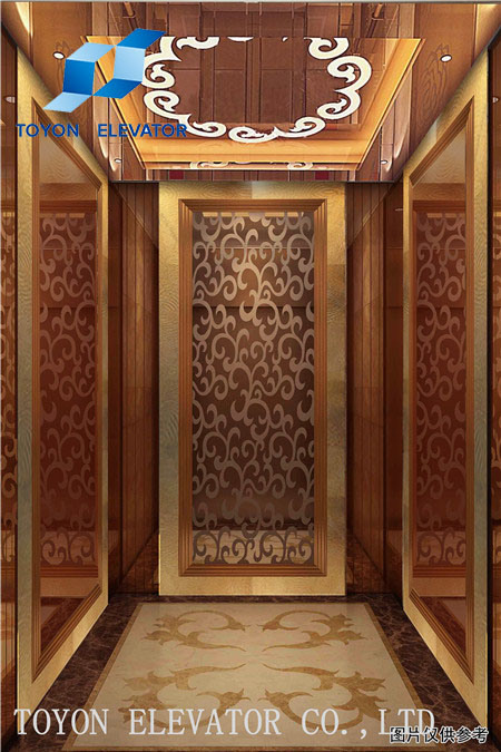 6~26 Persons Stainless Steel Home Passenger Elevator and Lift for Hotel and Villa Image1