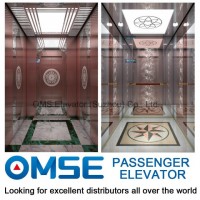 Rose Gold Mirror Etched Passenger Elevator
