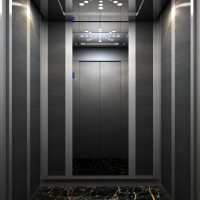 Passenger Lift Home Elevator with Stainless Steel Meshing