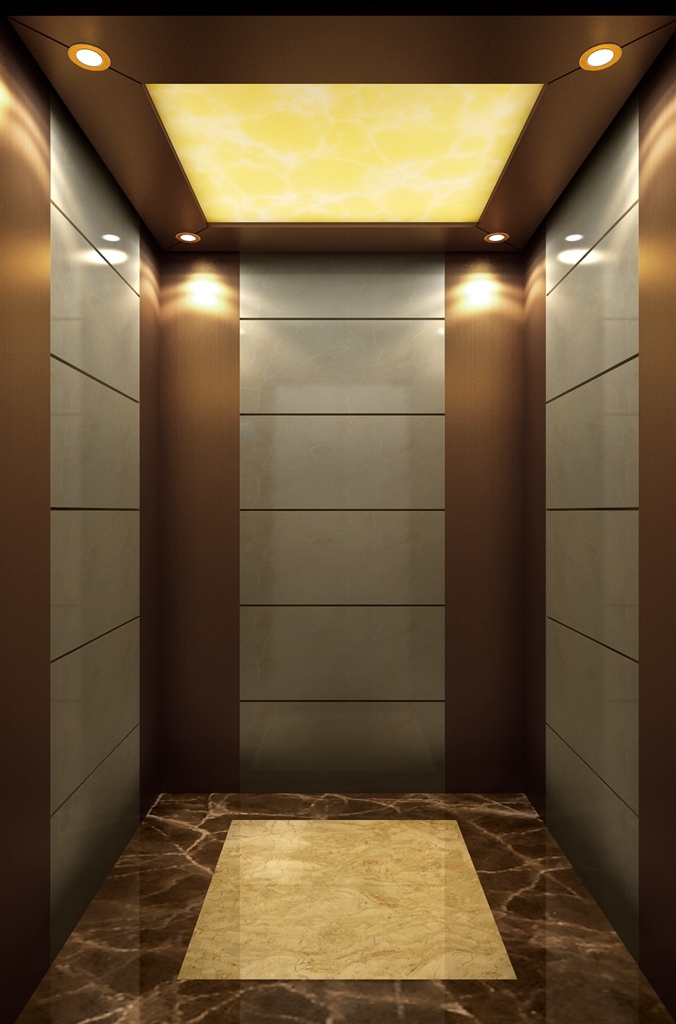 Bronze Brushed Stainless Steel Home Lift Passenger Elevator Image1