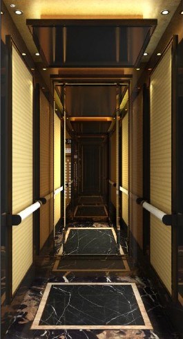 Passenger Elevator with Machine Room From Xizi Image1