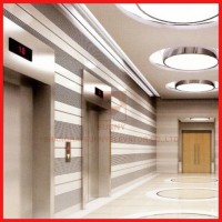 Passenger Machine Room Less High Speed Elevator Building Lifts Elevators