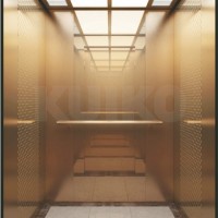 Safety Passenger Lift Business Machine Room Elevators