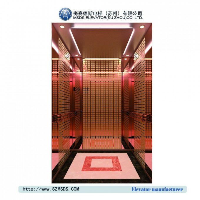 Latest Fashion Passenger Elevator with British Style Image1