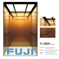 FUJI Passenger Elevator Lift with Rose Gold Cabin