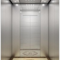 Syney Mirror Etching Passenger Elevator with Favorable Price (16K021)